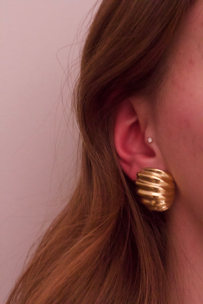 Shell Earrings Gold